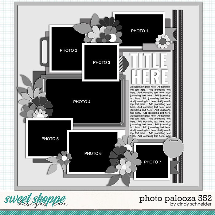 Cindy's Layered Templates - Photo Palooza 552 by Cindy Schneider