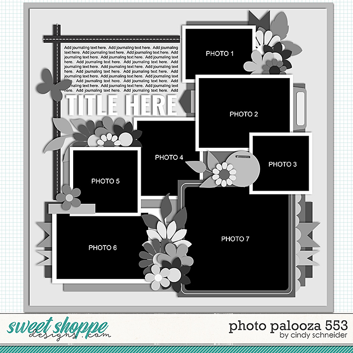 Cindy's Layered Templates - Photo Palooza 553 by Cindy Schneider