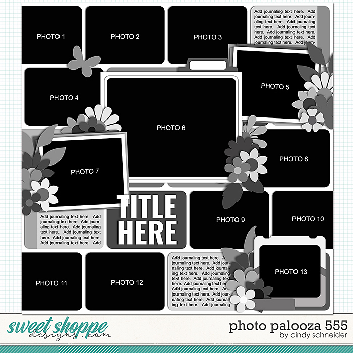 Cindy's Layered Templates - Photo Palooza 555 by Cindy Schneider