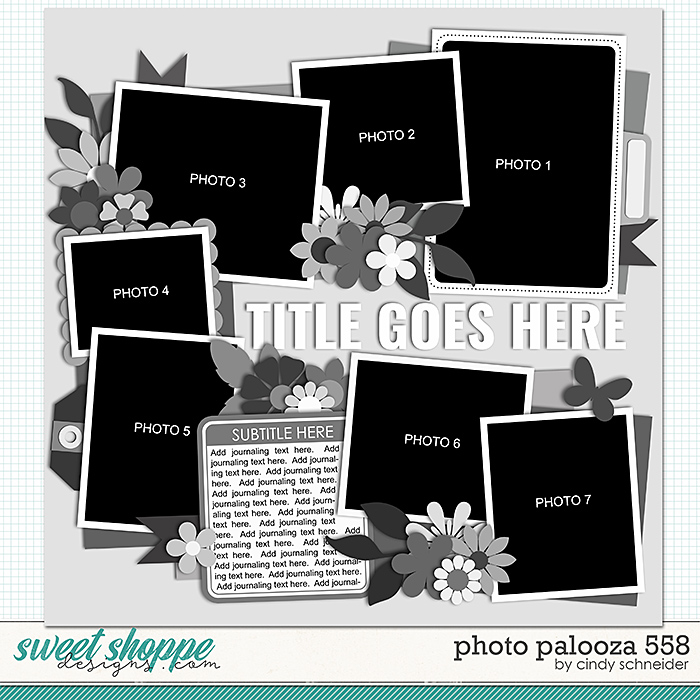 Cindy's Layered Templates - Photo Palooza 558 by Cindy Schneider