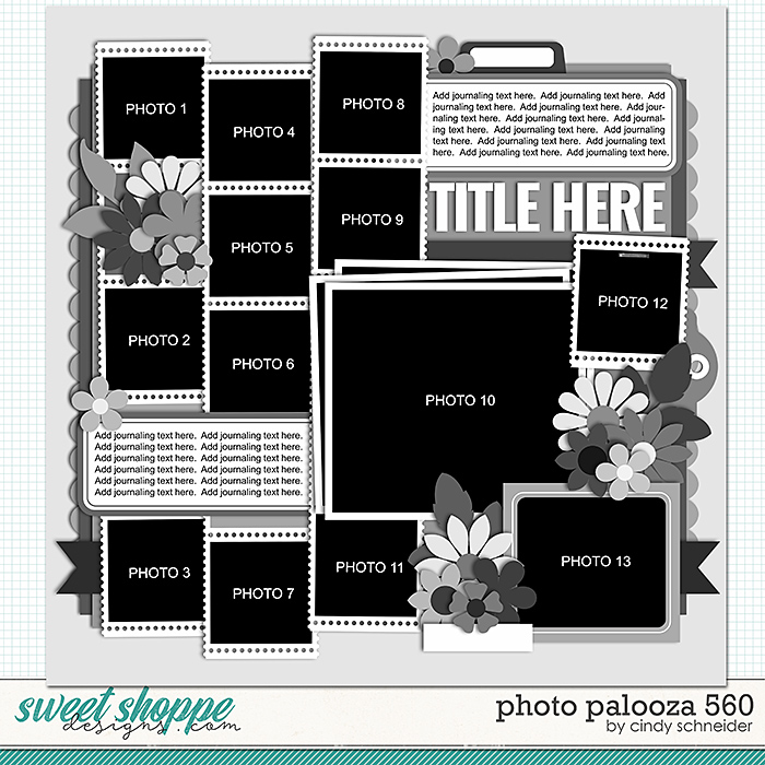 Cindy's Layered Templates - Photo Palooza 560 by Cindy Schneider