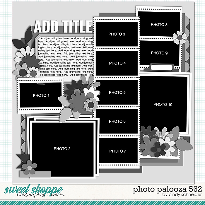 Cindy's Layered Templates - Photo Palozoa 562 by Cindy Schneider