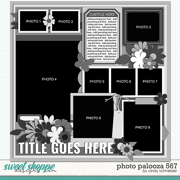 Cindy's Layered Templates - Photo Palooza 567 by Cindy Schneider
