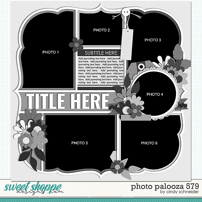 Cindy's Layered Templates - Photo Palooza 579 by Cindy Schneider
