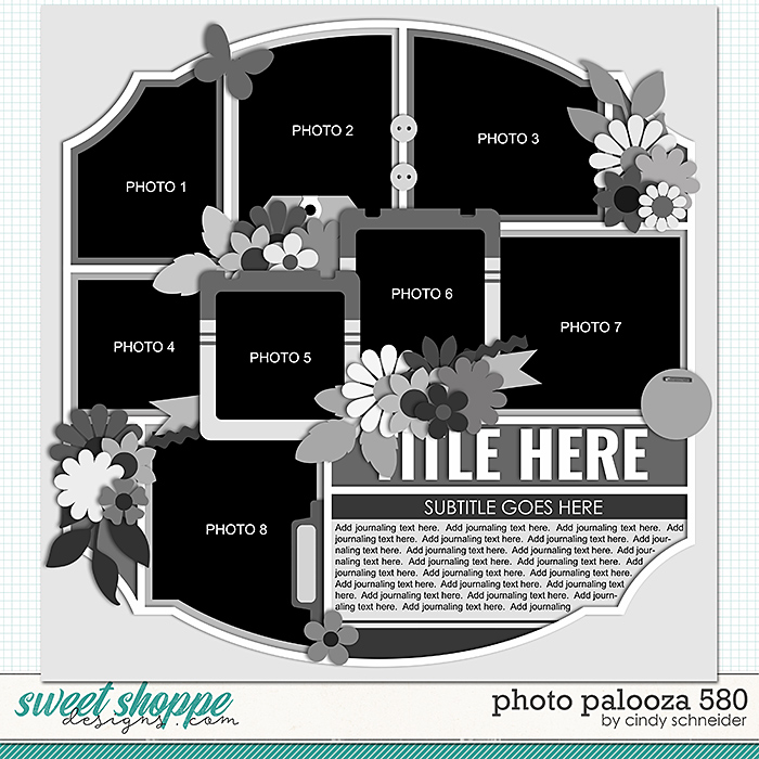 Cindy's Layered Templates - Photo Palooza 580 by Cindy Schneider