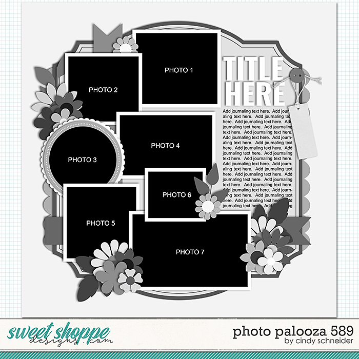 Cindy's Layered Templates - Photo Palooza 589 by Cindy Schneider