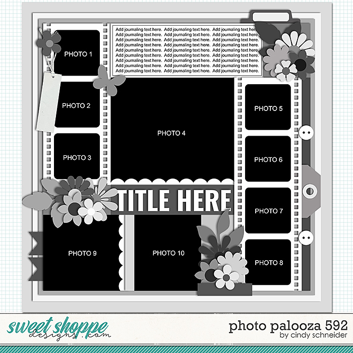 Cindy's Layered Templates - Photo Palooza 592 by Cindy Schneider