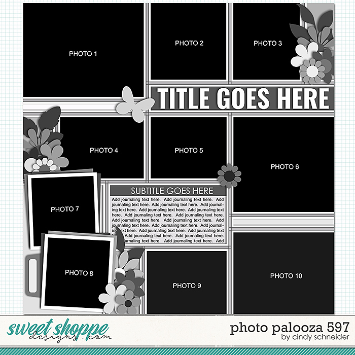 Cindy's Layered Templates - Photo Palooza 597 by Cindy Schneider
