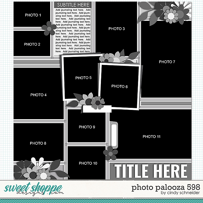 Cindy's Layered Templates - Photo Palooza 598 by Cindy Schneider