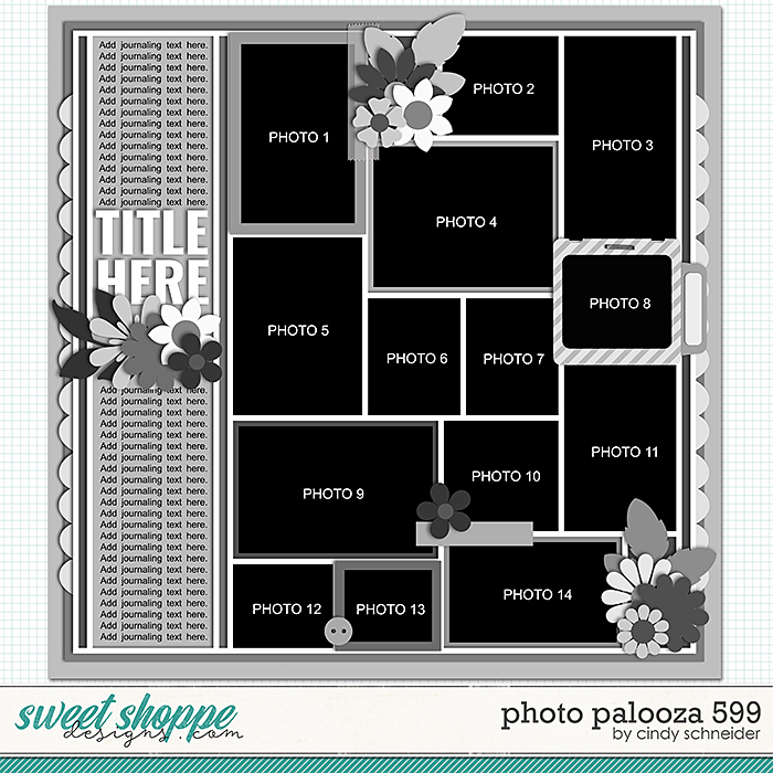 Cindy's Layered Templates - Photo Palooza 599 by Cindy Schneider