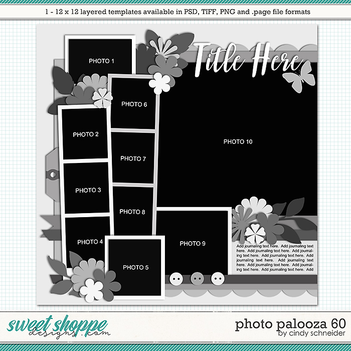 Cindy's Layered Templates - Photo Palooza 60 by Cindy Schneider