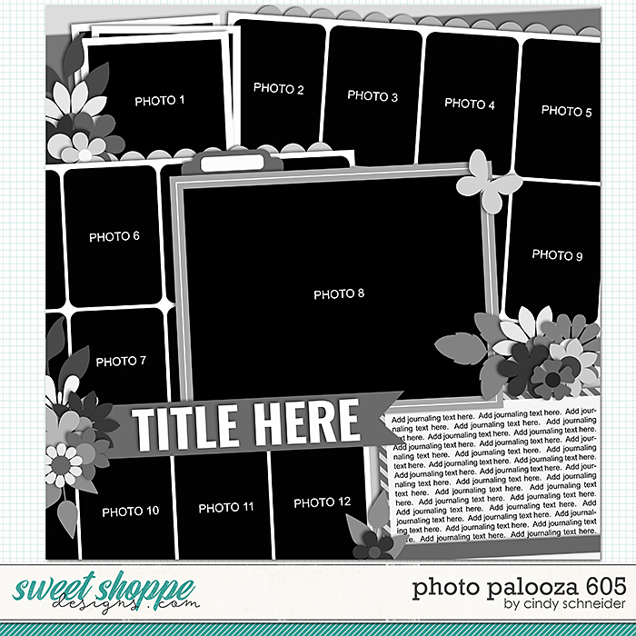 Cindy's Layered Templates - Photo Palooza 605 by Cindy Schneider
