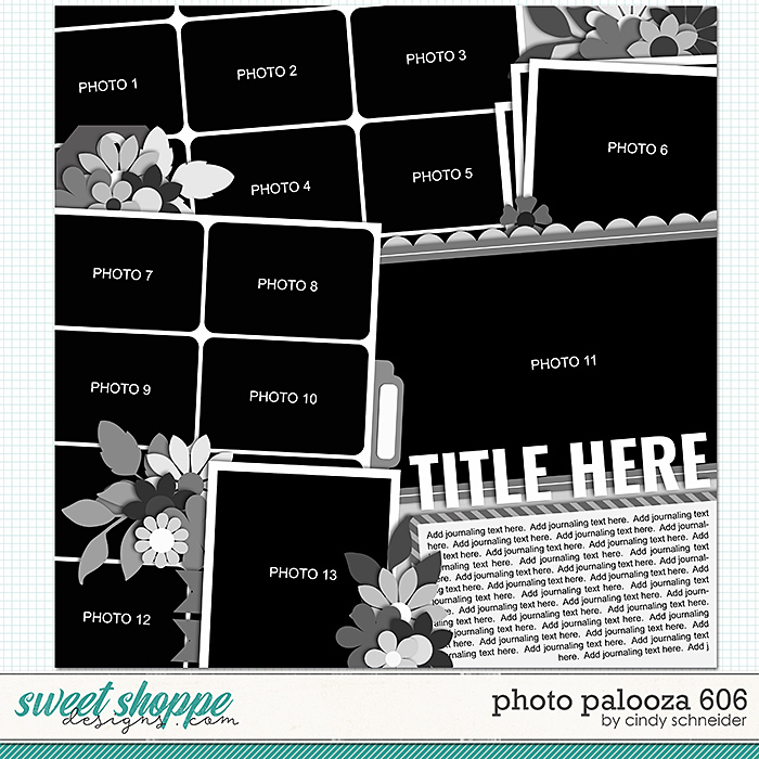 Cindy's Layered Templates - Photo Palooza 606 by Cindy Schneider
