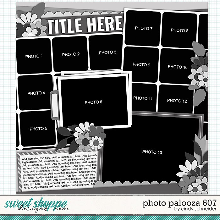 Cindy's Layered Templates - Photo Palooza 607 by Cindy Schneider