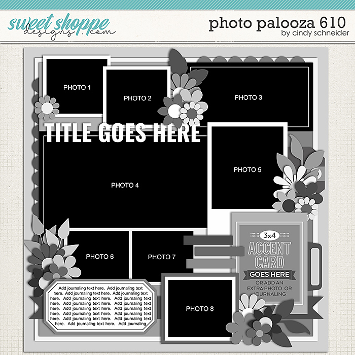 Cindy's Layered Templates - Photo Palooza 610 by Cindy Schneider