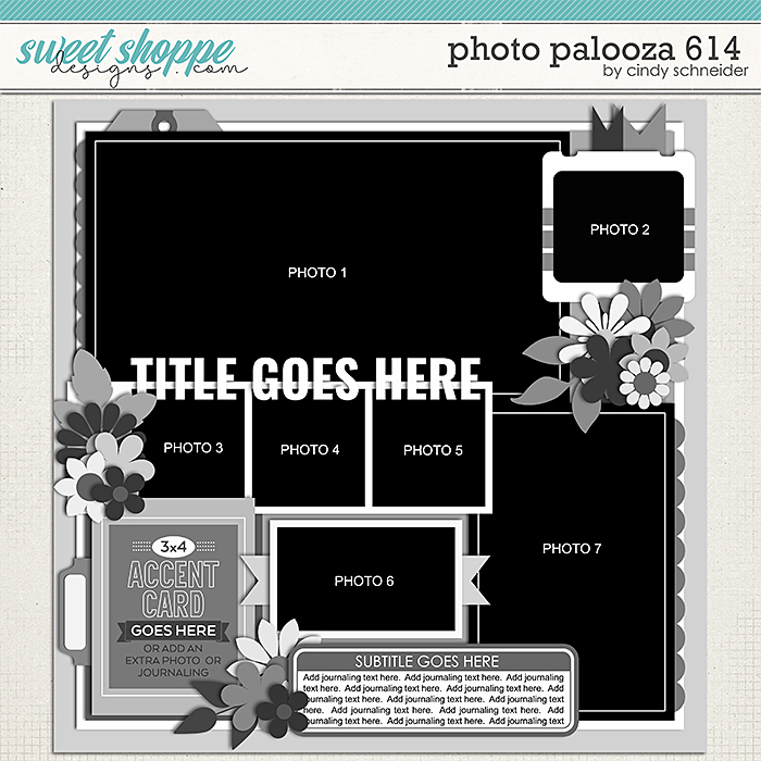Cindy's Layered Templates - Photo Palooza 614 by Cindy Schneider