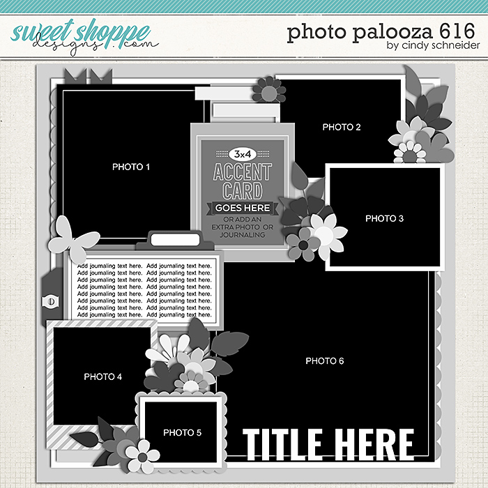 Cindy's Layered Templates - Photo Palooza 616 by Cindy Schneider
