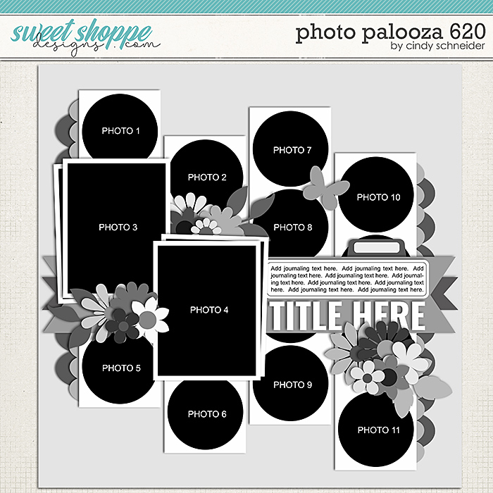 Cindy's Layered Templates - Photo Palooza 620 by Cindy Schneider