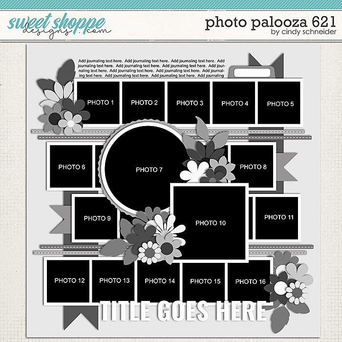 Cindy's Layered Templates - Photo Palooza 621 by Cindy Schneider