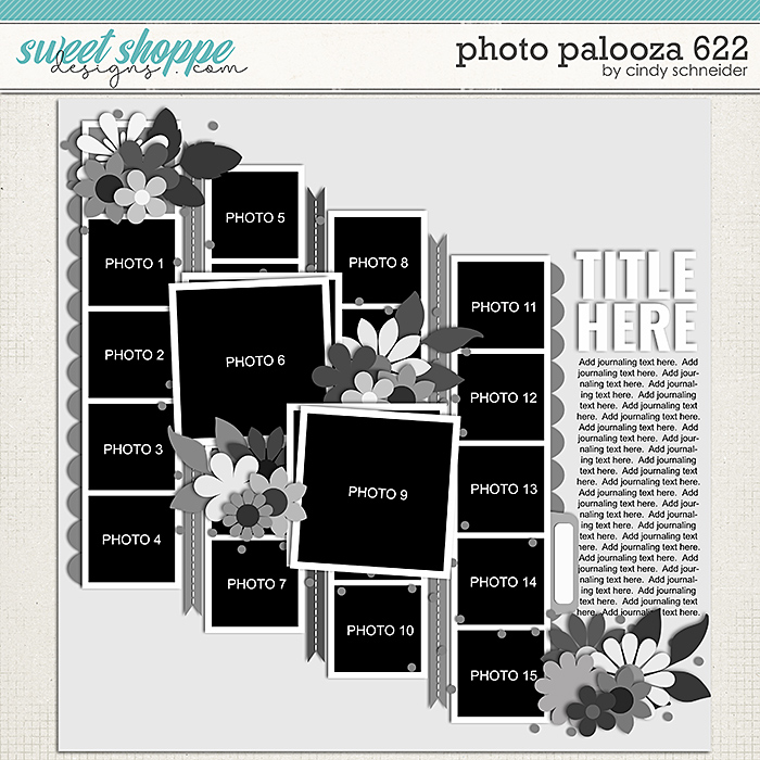 Cindy's Layered Templates - Photo Palooza 622 by Cindy Schneider