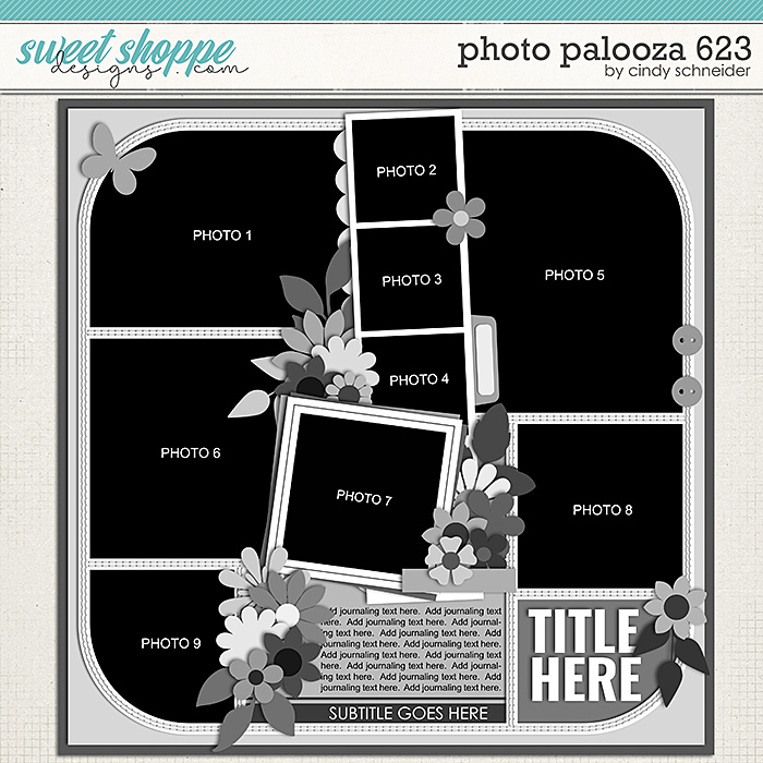 Cindy's Layered Templates - Photo Palooza 623 by Cindy Schneider