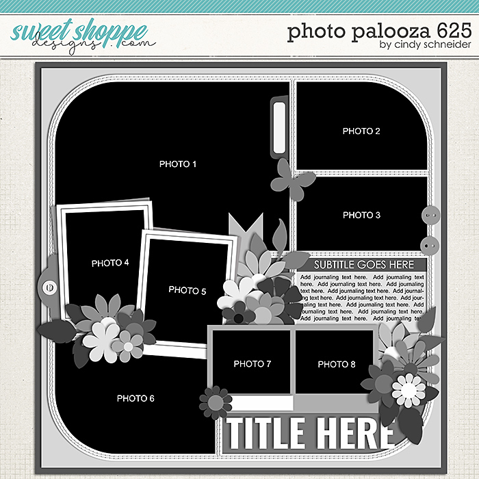 Cindy's Layered Templates - Photo Palooza 625 by Cindy Schneider