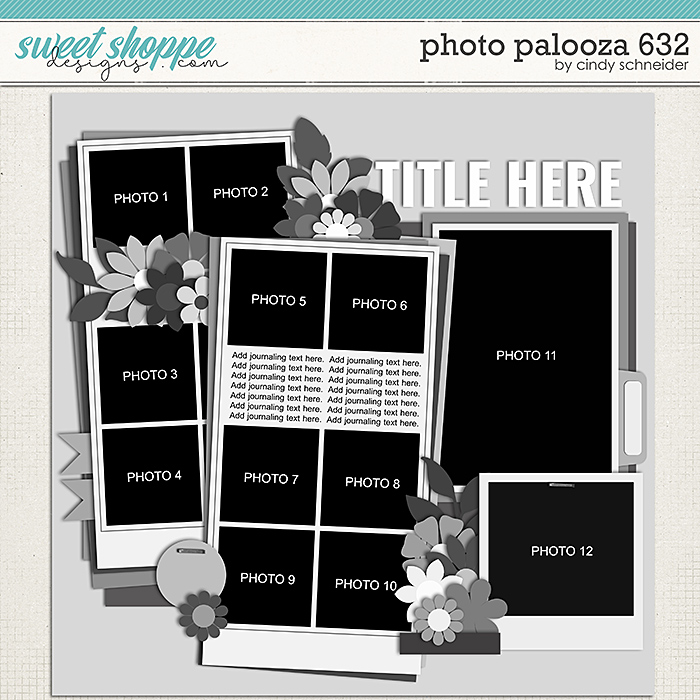 Cindy's Layered Templates - Photo Palooza 632 by Cindy Schneider