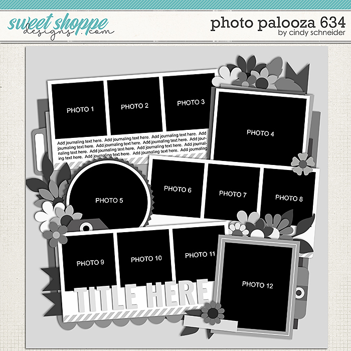 Cindy's Layered Templates - Photo Palooza 634 by Cindy Schneider