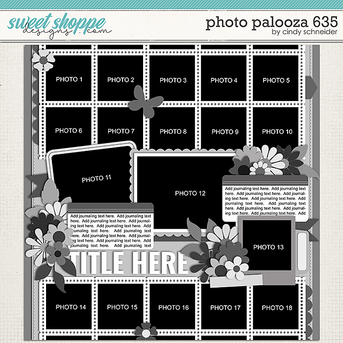 Cindy's Layered Templates - Photo Palooza 635 by Cindy Schneider