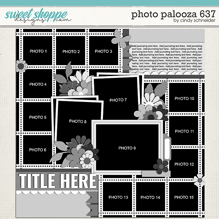 Cindy's Layered Templates - Photo Palooza 637 by Cindy Schneider