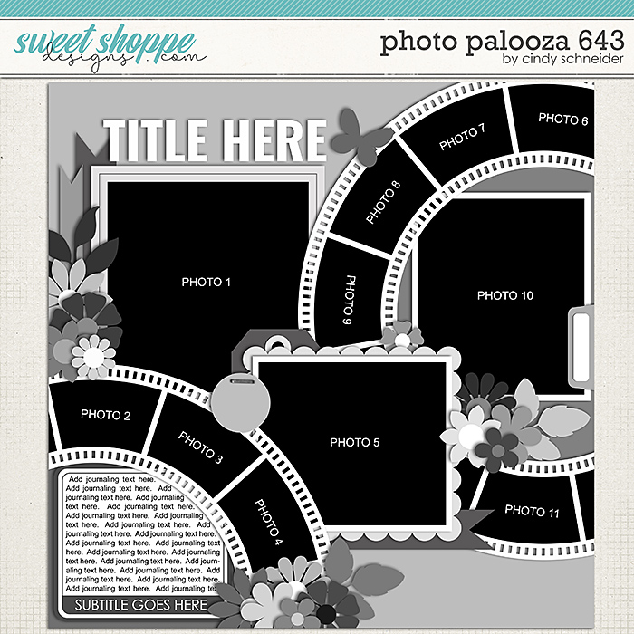 Cindy's Layered Templates - Photo Palooza 643 by Cindy Schneider