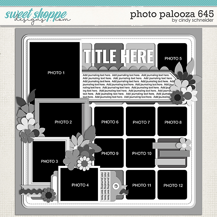 Cindy's Layered Templates - Photo Palooza 645 by Cindy Schneider