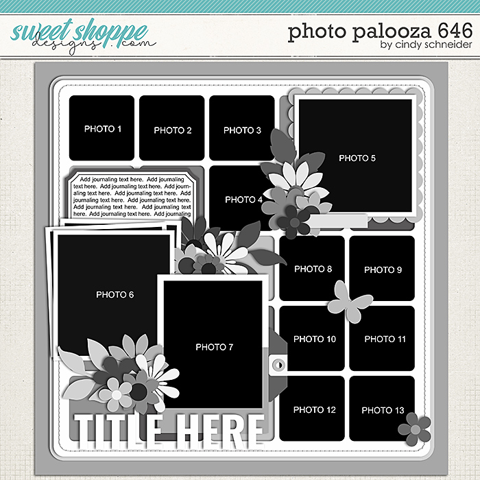 Cindy's Layered Templates - Photo Palooza 646 by Cindy Schneider