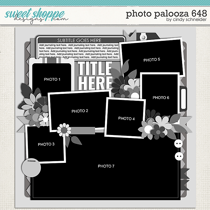 Cindy's Layered Templates - Photo Palooza 648 by Cindy Schneider