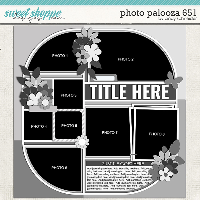 Cindy's Layered Templates - Photo Palooza 651 by Cindy Schnider