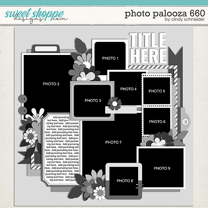 Cindy's Layered Templates - Photo Palooza 660 by Cindy Schneider