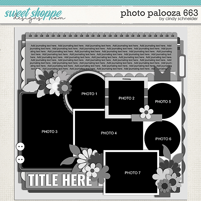 Cindy's Layered Templates - Photo Palooza 663 by Cindy Schneider