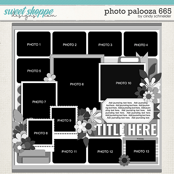 Cindy's Layered Templates - Photo Palooza 665 by Cindy Schneider