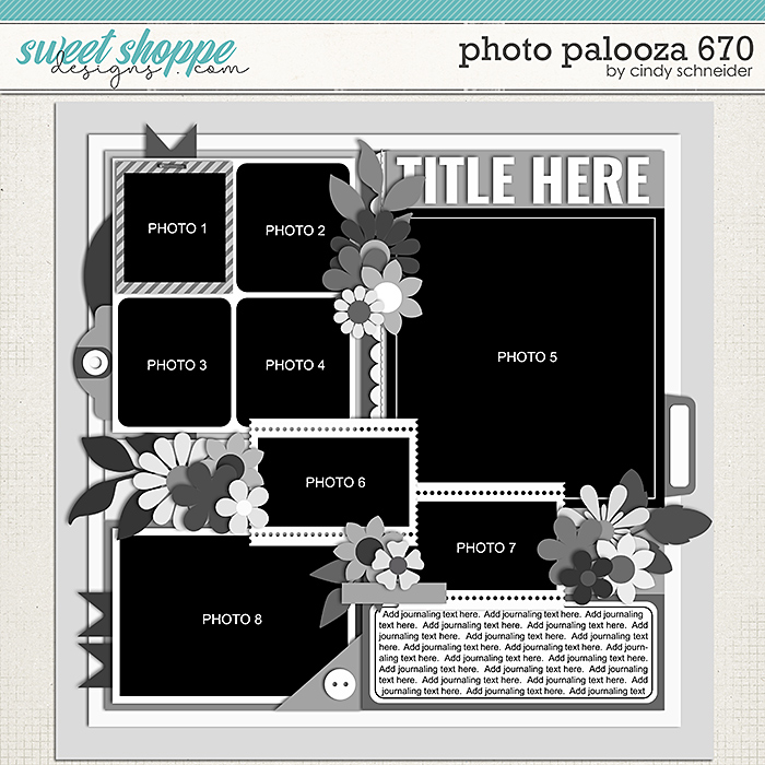 Cindy's Layered Templates - Photo Palooza 670 by Cindy Schneider