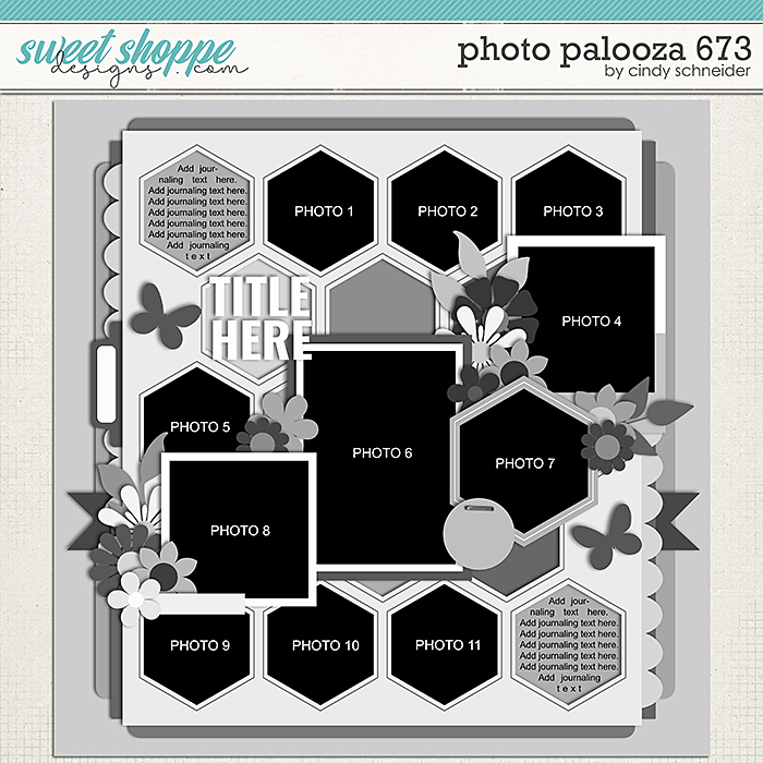 Cindy's Layered Templates - Photo Palooza 673 by Cindy Schneider
