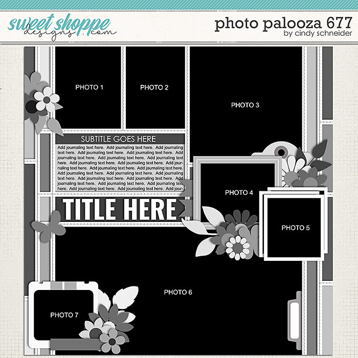 Cindy's Layered Templates - Photo Palooza 677 by Cindy Schneider