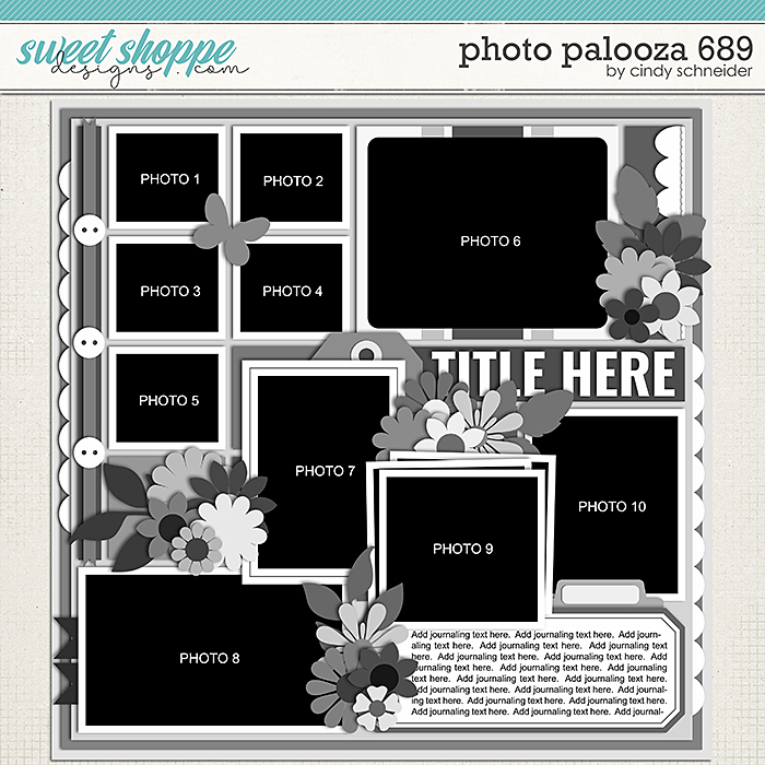 Cindy's Layered Templates - Photo Palooza 689 by Cindy Schneider