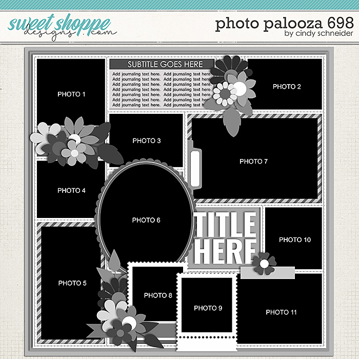 Cindy's Layered Templates - Photo Palooza 698 by Cindy Schneider