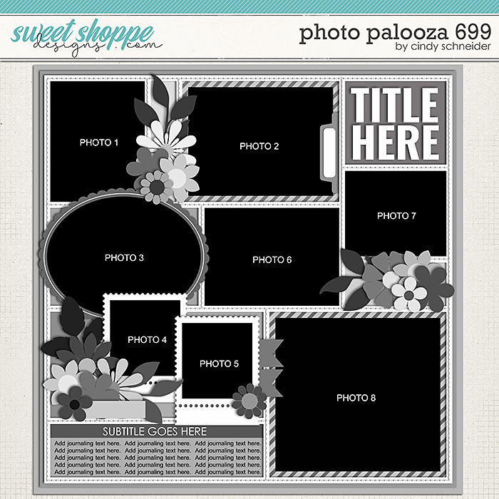 Cindy's Layered Templates - Photo Palooza 699 by Cindy Schneider