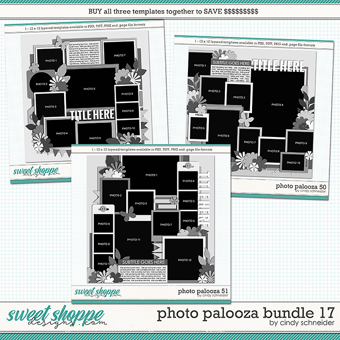 Cindy's Layered Templates - Photo Palooza Bundle 17 by Cindy Schneider