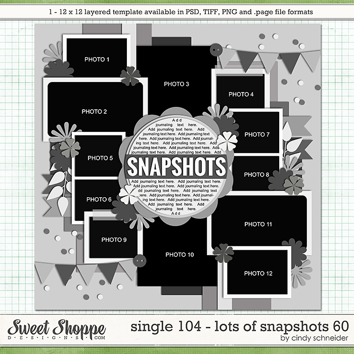 cschneider-single104-preview.jpg