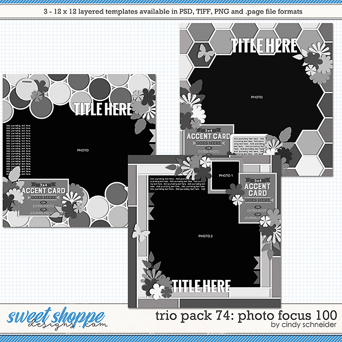 Cindy's Layered Templates - Trio Pack 74: Photo Focus 100 by Cindy Schneider