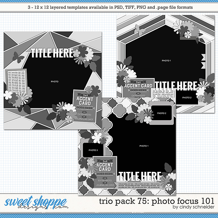 Cindy's Layered Templates - Trio Pack 75: Photo Focus 101 by Cindy Schneider