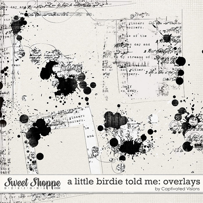cvisions-alittlebirdie-ov.jpg
