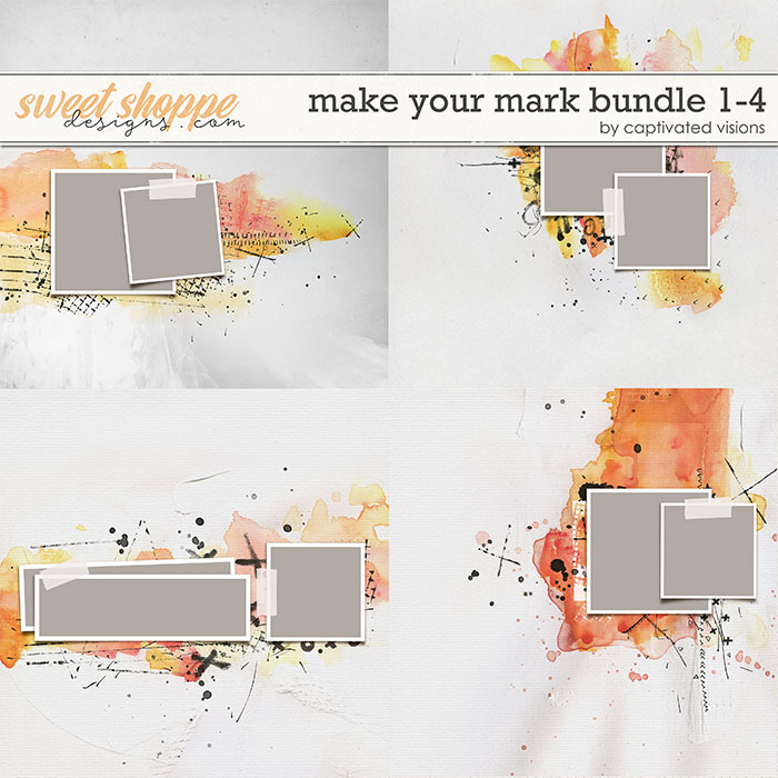 cvisions-makeyourmarkbundle1to4-700.jpg
